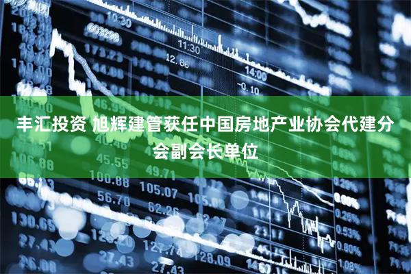 丰汇投资 旭辉建管获任中国房地产业协会代建分会副会长单位