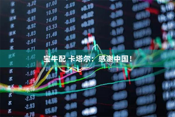宝牛配 卡塔尔：感谢中国！