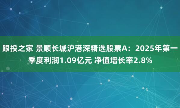 跟投之家 景顺长城沪港深精选股票A：2025年第一季度利润1.09亿元 净值增长率2.8%