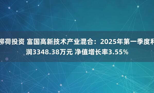 柳荷投资 富国高新技术产业混合：2025年第一季度利润3348.38万元 净值增长率3.55%