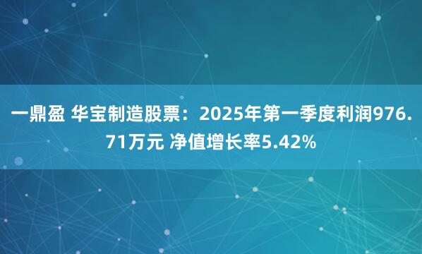 一鼎盈 华宝制造股票：2025年第一季度利润976.71万元 净值增长率5.42%