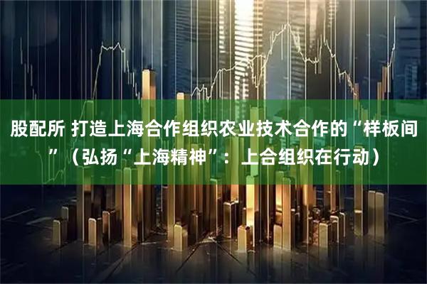股配所 打造上海合作组织农业技术合作的“样板间”（弘扬“上海精神”：上合组织在行动）