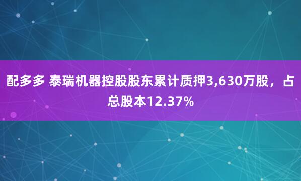 配多多 泰瑞机器控股股东累计质押3,630万股，占总股本12.37%