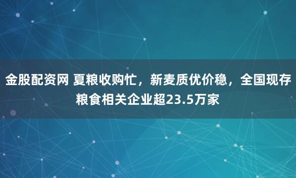 金股配资网 夏粮收购忙，新麦质优价稳，全国现存粮食相关企业超23.5万家