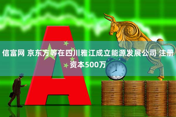 信富网 京东方等在四川雅江成立能源发展公司 注册资本500万
