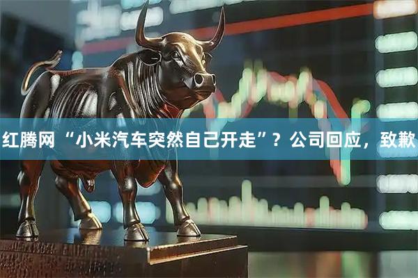 红腾网 “小米汽车突然自己开走”？公司回应，致歉