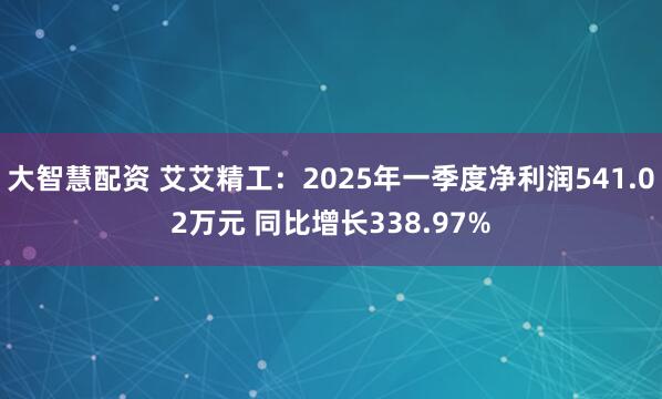 大智慧配资 艾艾精工：2025年一季度净利润541.02万元 同比增长338.97%