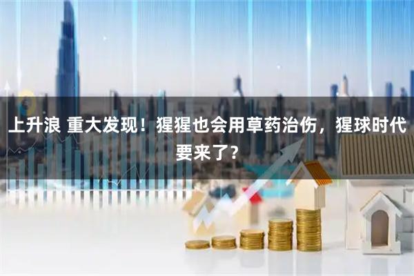 上升浪 重大发现！猩猩也会用草药治伤，猩球时代要来了？